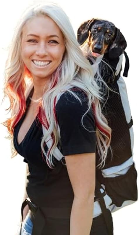 Knavigate Adjustable Veterinarian Lunar Grey